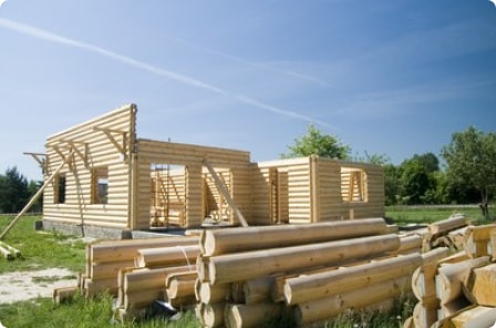 Ile sezonuje bala sosnowa i jaka jest jej trwałość