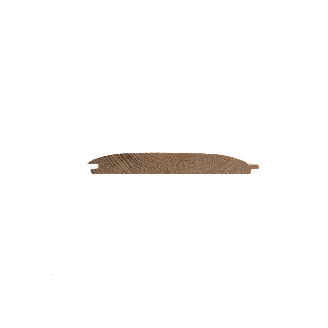 Szalówka półokrągła