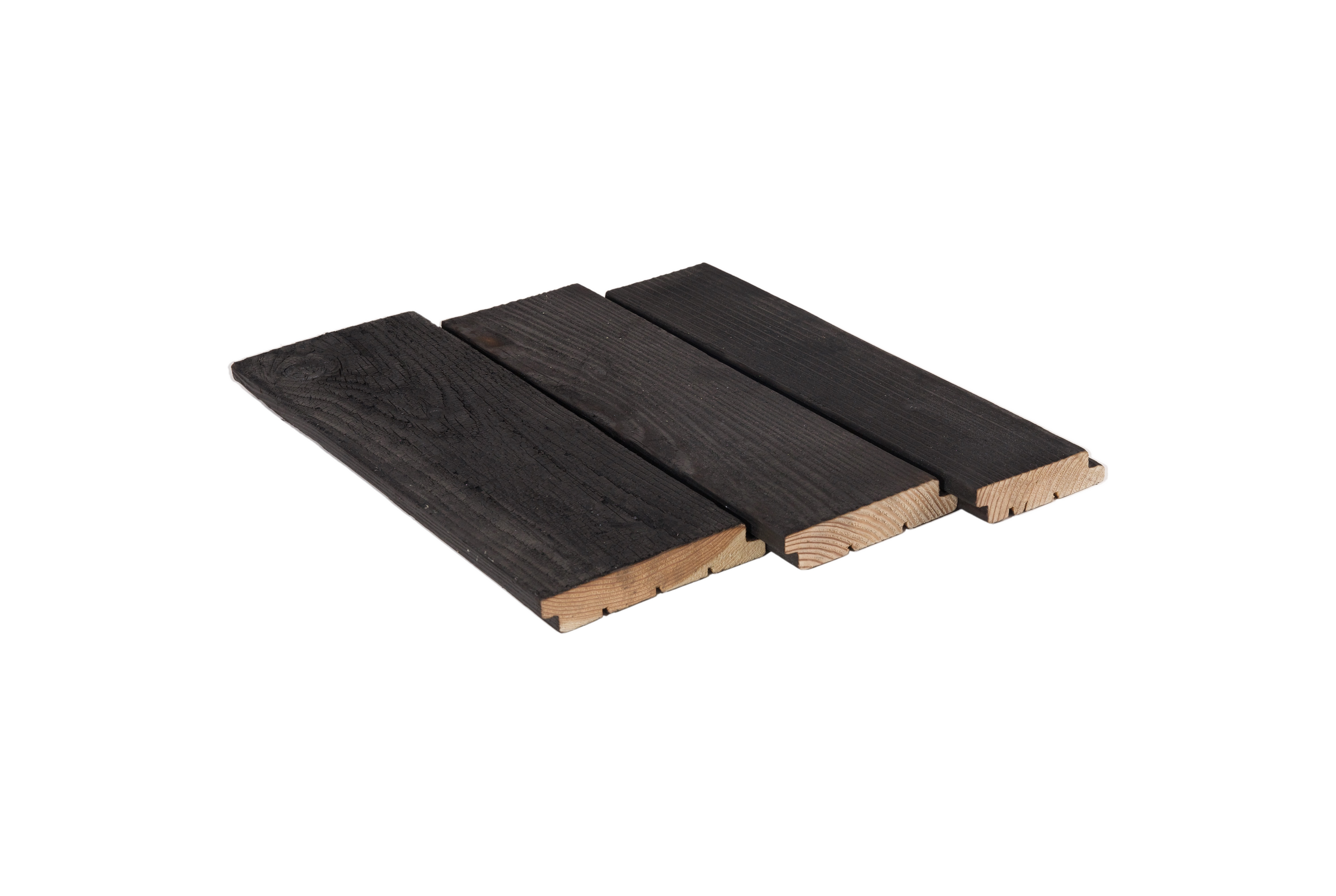 Modrzew opalany — elewacja miniatura 2